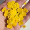 Edible Flowers - Freeze Dried Yellow Violas - 20 Heads - UK Grown & Dried - Certified Food Grade (565) view 2