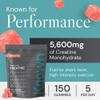 Known Creatine Gummies Value Pouch - 5600mg Creatine Monohydrate - Peach Flavour - 150 Gummies 30 Days Supply - Third-Party Tested view 3