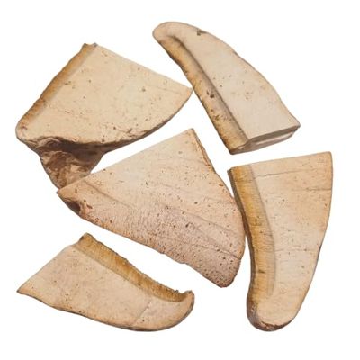 Dried Birch Porling (Fomitopsis Betulina) 100g - Natural Product, Wild Collection, Ideal for Teas and Garden Care