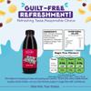 Florida Syrups Flavours Compatible with Sodastream Machines - Soda Drink Flavourings 330 ml (Pack of 1), Sour Cherry Sugar Free view 3