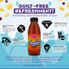 Florida Soda Syrup Compatible with SodaStream - 500 ml, Mix n Match, Multiple Flavours, Concentrates, Flavourings For Fizzy Drinks (Orange Blast Sugar Free) view 2