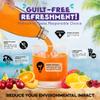 Florida Syrups Flavours Compatible with Sodastream Machines - Soda Drink Flavourings 330 ml (Pack of 1), Bubblegum Sugar Free view 4
