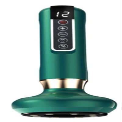 12 Levels Adjustable Handheld Body Fat Massager (Green, DS-A15)