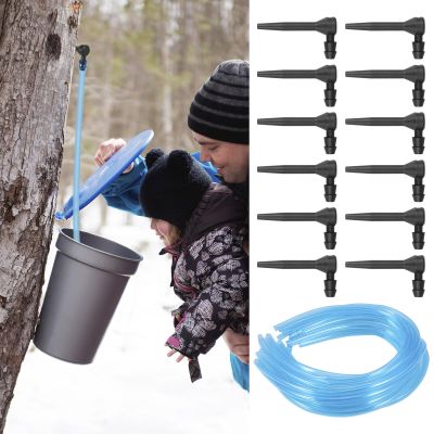 12 Pcs Maple Syrup Taps Kit, Maple Syrup Tree Tapping Kit with 12 Plastic Taps and Food Grade Tree Sap Spile Extractor Tubes for Winter, Spring