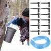 12 Pcs Maple Syrup Taps Kit, Maple Syrup Tree Tapping Kit with 12 Plastic Taps and Food Grade Tree Sap Spile Extractor Tubes for Winter, Spring view 1