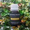 Petitgrain Essential Oil -100% Pure and Natural Oil for Natural for Aromatherapy, Massage & Skin Care Oil (50ml) view 1