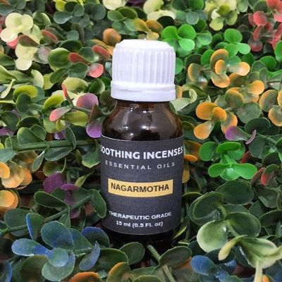 Nagarmotha Essential Oil -100% Pure and Natural Oil for Natural for Aromatherapy, Massage & Skin Care Oil (100ml)