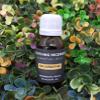 Nagarmotha Essential Oil -100% Pure and Natural Oil for Natural for Aromatherapy, Massage & Skin Care Oil (100ml) view 1