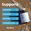 Neubria Krill Oil Omega-3 Capsules High Strength 1000mg | EPA & DHA with Marine Phospholipids, Astaxanthin & Choline | Antarctic Krill Oil | Cod Liver & Fish Oil Alternative | 60 Softgels view 3