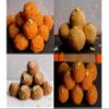 Indian Sweet Laddu Assortment, Traditional Dessert with Pistachios & Almond & Cashewnuts, 4 Varieties (Pack of 1 Each 1 piece)4 (8 Piece) view 1