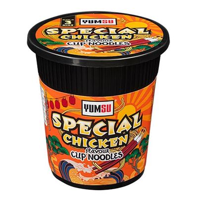 Instant Pot Noodles Halal Certified Vegetarian Egg Free 60g Assorted Packs & Flavours + FabFinds Mug (24, Special Chicken)