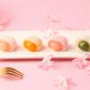 WSYLS Sandwich Mochi Set Chinese Rice Cake Asian Delicious Dessert Soft and Glutinous Dessert 120g (Cherry blossoms) view 2