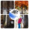 Maple Syrup Taps Food-Grade Silicone Tree Taps in L-Shape view 4