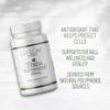 Lily & Loaf Trans-Resveratrol 400mg High Strength Antioxidant Supplement for Heart Health, Healthy Ageing & Cellular Protection 30 Vegan Capsules 1 Month Supply view 4