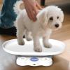 Pet Scale for Dogs - Small Animal Weighing Tool | Space-Saving Accurate Digital Scale Tool for Puppy Hamster Kitten view 3