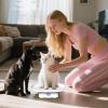 Hemousy Pet Scale | High Sensor Animal Weighing Tool | Non-Slip Portable Digital Scale for Puppy Hamster Farming Home Weighing view 2