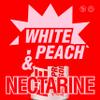 Feisty Drinks Protein Soda White Peach & Nectarine 9x330ml, 10g Plant-Based Protein, Healthy Soda, Healthy Fizzy Drinks, No Added Sugar, Sparkling Drinks view 3