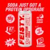 Feisty Drinks Protein Soda Mixed Flavour Pack 9x330ml, 10g Plant-Based Protein, Healthy Soda, Healthy Fizzy Drinks, No Added Sugar, Sparkling Drinks view 4