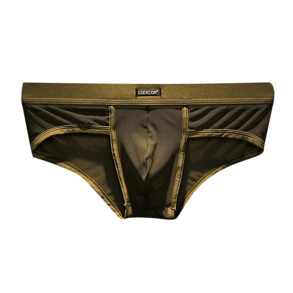 Men's Exotic Apparel Breathable Mesh Low Waist Fashionable Briefs Sexy Trend Modern Styling for Confident (Blue, M)