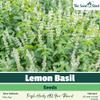 Lemon Basil Seeds Fresh, Fragrant Herb for Culinary & Garden Use Zesty Citrus Aroma Perfect for Salads, Teas, and Thai Cooking Easy to Grow Indoors & Outdoors view 2