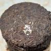 1980s 'Double Flower Mark' Raw Pu-erh Tea Cake, 357g, Aged in Hong Kong Traditional Storage, from Yunnan view 1