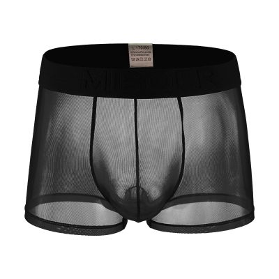 Sexy Lingerie Women Mesh Lace Panties Comfortable Underwear for Daily Wear Party Nightclub Home Leisure Apparel (Black, XXL)