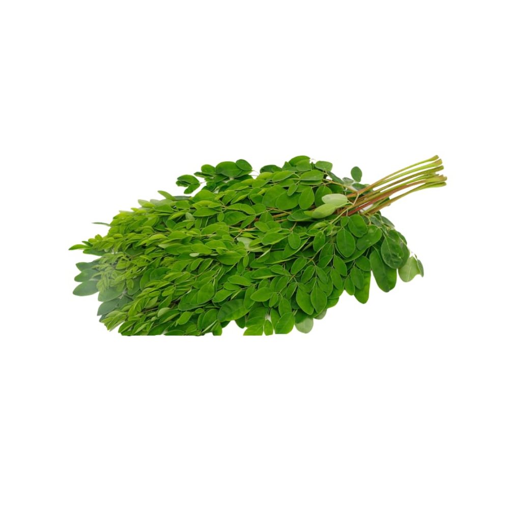 Moringa Leaves 1 Bunch (Drumstick Leaves/Murungai Keerai/Sahjan) Indian Green for Curry, Dal, Soup & Traditional Cooking