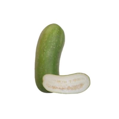 Lakshmi Stores - Fresh White Pumpkin 500G | Ash Gourd Winter Melon Safed Petha | Farm Fresh Cooking Vegetable for Curry Soup Juice Kootu Healthy Daily Meal Use (500 G)