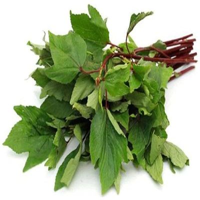 Lakshmi Stores - Fresh Gongura Leaves (Sorrel Leaves, Ambada Greens) 1 Bunch | Indian Sour Leaf Herb for Chutney, Curry, Dal | Tangy Cooking Green Leafy Vegetable (1 Bunch)