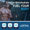 Creatine Monohydrate Powder 300g (60 x 5g Servings) - Micronized Pure Creatine Powder to Support Muscle Growth for Men & Women - Vegan Workout Supplement - Unflavoured, Critical Supplements view 4
