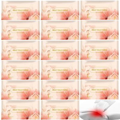 50Pack Luxury Individually Wrapped Skin Friendly Disposable Wet Toilet Paper; Adult Care Personal Hygiene Wet Wipes; Sensitive Skin Cleansing Toilet Wipes for Home,Travel, Daily Use