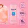 TRIP Wild Strawberry Sparkling Drink with 120MG calming Magnesium + Lions Mane + Chamomile + Lemon Balm. Low Calorie, No Added Sugar and Vegan (Pack of 12 x 250ml) view 2
