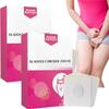 Bladder Control Patch,Bladder Patch,Bladder Health Patch,Leakage Urine Patchs for Women,Bladders Control Patchs,Go to Toilet Less Frequently, 6Pcs/Box (2 Box) view 1