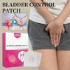 Bladder Control Patch,Bladder Patch,Bladder Health Patch,Leakage Urine Patchs for Women,Bladders Control Patchs,Go to Toilet Less Frequently, 6Pcs/Box (2 Box) view 2