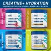 Applied Nutrition Creatine + Hydration Powder | Creatine Monohydrate, Electrolytes & Vitamins for Muscle Recovery & Performance | Blue Raspberry | Informed-Sport Certified | 360g | 30 Servings view 3