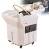 Portable Thermostatic Shampoo Basin with Water Circulation, 60L Water Tank, 180 Arc Design for Hair Stylists Spa Equipment view 1