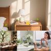 Oil Diffuser Wood Tumbler Wooden Oil Diffusers for Car view 4
