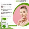 100% Neem Powder (200 Grams),| Anti-Pimple, Anti-Bacterial, Fight Dandruff | 100% Pure and Natural view 3