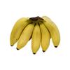 Fresh Apple Banana 1KG | Baby Banana | Mini Bananas | Nendran Banana Variety | Fresh Ripe Sweet Fruit for Eating, Smoothies, Desserts (1KG) view 1