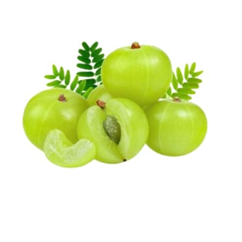 Fresh Amla (Nellikai) Indian Gooseberry Whole Fruit, Nellikka, Usirikaya, Vitamin C Rich Fruit for Juice, Pickle & Cooking