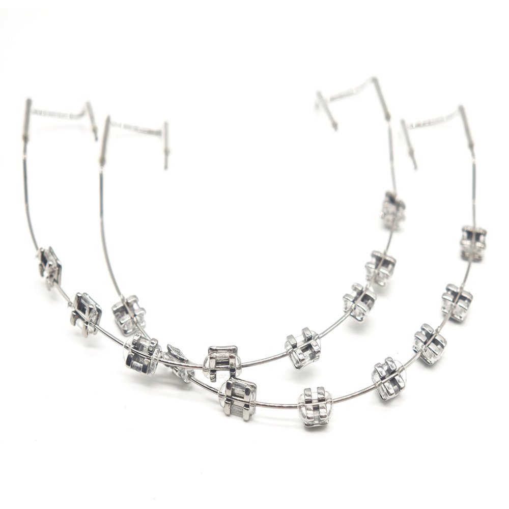 1 Pack Temporary Tooth Decoration with Metal Wires,Metal Bracket and Orthodontic Ligature Ties,Props for Dental Students to Practice and Orthodontist Explain (Trans)
