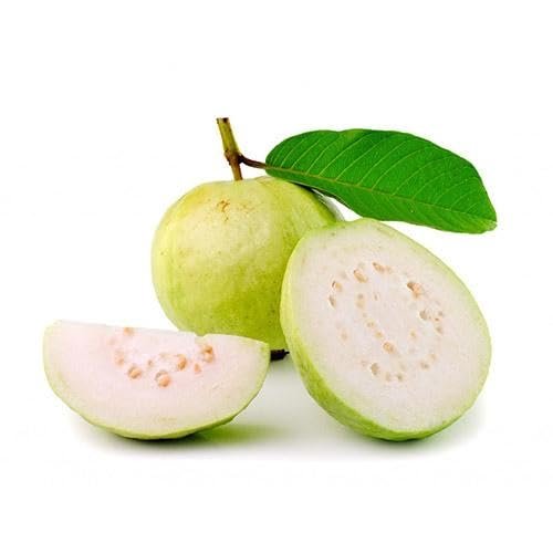 Lakshmi Stores - Fresh Guava 1kg | Farm Fresh Tropical Fruit | Peru Pazham Amrood | Sweet Juicy Healthy Snack for Juices Salads Smoothies Desserts Daily Consumption (1KG)