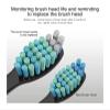 3-30 Electric Toothbrush Replacement Heads Compatible with Fairywill Electric with FW-507/508/551/515/917/959/2011/D1/D3/D7/D8(Whtie 15 Black 15) view 4