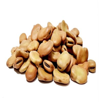 Grand Broad Beans (1 Kg Pouch)