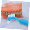 BIUDECO 5pcs Clean Denture Brush Soft Bristles for Elderly Dual Head Design for Travel for False Teeth Care view 4