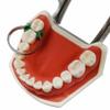 80pcs/set Dental Sectional Contoured Metal Matrices M4 matrices Matrix wedges set with add-on wedges rubber wedges resin clips (1 set D) view 3