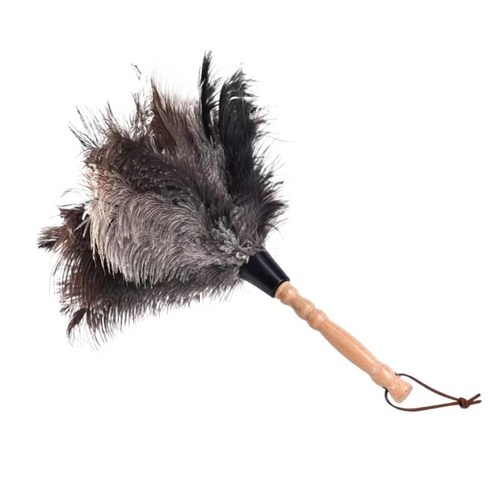 1PCS Ostrich Feather Duster Car Duster Interior Clean DusterReusable Feather Duster for Blinds Kitchen Keyboard Office, Soft and Fluffy Duster Cleaning Supplies(Black,Medium)
