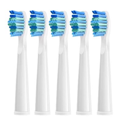 5/10/20Pcs Electric Toothbrush Replacement Heads Compatible for SEAGO SG910/507/958/515/949/575/551(White-5pcs)