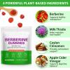 Berberine Gummies, Berberine Supplement Gummies with Turmeric Support Energy, Gut Health, Metabolism, Immune System & Metabolism Support for Women & Men, Sugar Free, Non-GMO, Gluten-Free - 60 Gummies view 2
