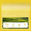 Jasmine Snowflake Tea - Premium Green Leaves for Bubble, Iced Tea & Brewing - Floral Aroma Loose Leaf, 100% Natural Base Ingredient (50g) (300g) view 4